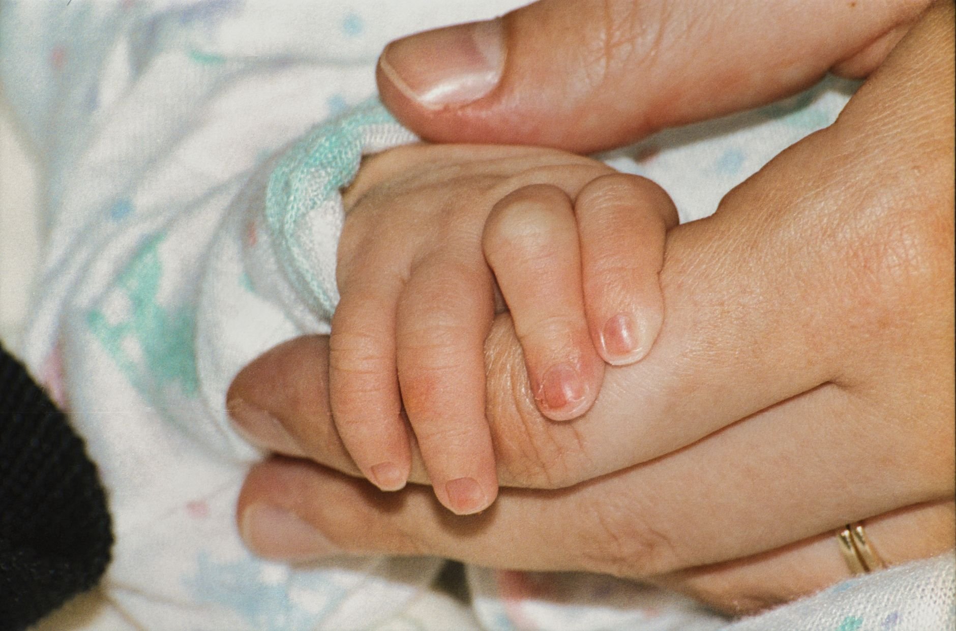 Heartwarming close-up of a baby's hand gently held by an adult, symbolizing love and protection.